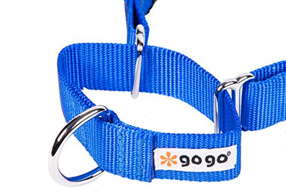 GOGO Pet Products 3/4-Inch Martingale Dog Collar, Medium, Blue - color: Blue, size: Medium (3/4" web width)
