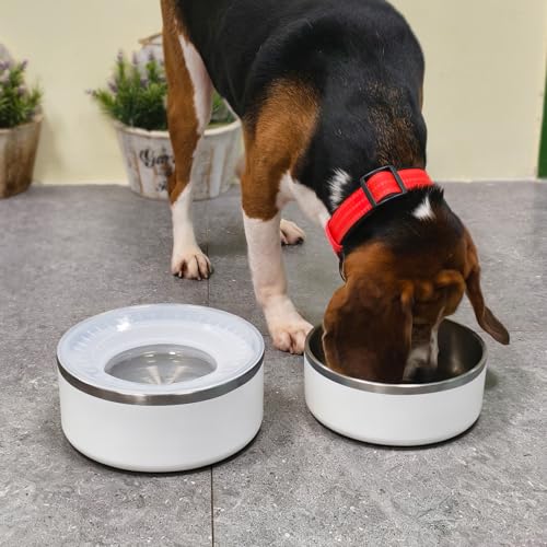 WENBOKMIN Stainless Steel Dog Water Bowl, Slow Dog Bowls with Non Slip Bottom, No Spill Detachable and Easy to Clean, Keep Xerosis Pilorum, 64oz, White - color: White