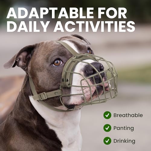 BRONZEDOG Pitbull Dog Muzzle Breathable Metal Basket for Large Dogs Amstaff Staffordshire Terrier Biting Chewing Barking (Nylon, Gray) - color: Nylon, Gray