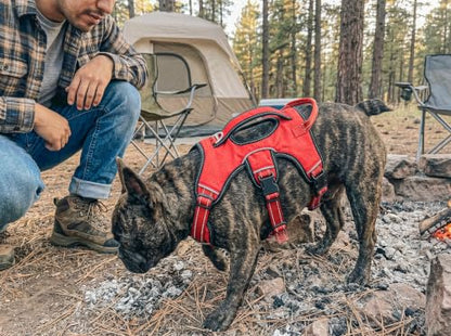 Tuff Pupper Tracker No Escape Dog Harness, Dual Attachment Points, Reflective 3M Stitching, XS - XL, March Red - color: March Red, size: Small: 17-22 Inch Chest