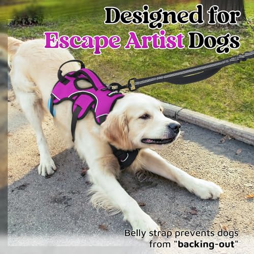 rabbitgoo Escape Proof Dog Harness, Soft Padded Full Body Pet Harness, Reflective Adjustable No Pull Vest with Lift Handle and Leash Clip for Large Dogs Walking Hiking Training, M, Purple - color: Purple, size: Medium (Pack of 1)