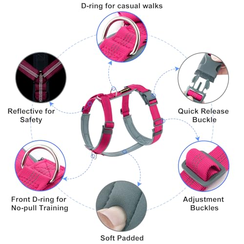 Plutus Pet No Pull Dog Harness, Adjustable Nylon Harness with Soft Padding, Reflective and Heavy Duty Dog Harness for Small, Medium, Large Dogs(Hot Pink, M) - color: Hot Pink, size: M
