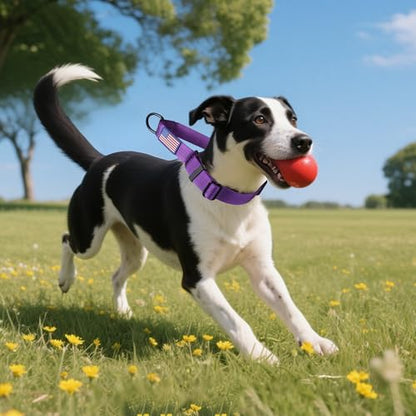 Martingale Dog Collar Quick Release Buckle No Pull Reflective Non-Slip for Medium Large Dogs Training (Purple, Large) - color: Purple, size: Large (Pack of 1)