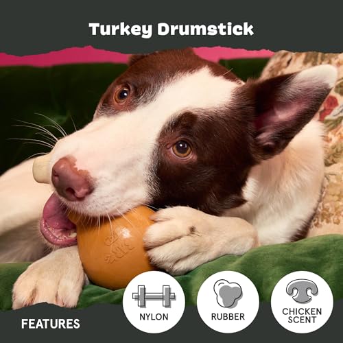 Barkbox Super Chewer Tough Dog Chew Toys for Aggressive Chewers, Dental Stimulating (Turkey - Large) - color: Turkey Day Drumstick - Large, size: Medium/Large