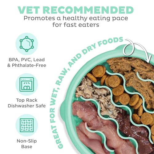 Outward Hound Fun Feeder Slo Bowl – Small 3/4-Cup Capacity, Slow Feeding, Small Dogs, Puppies & Cats, Non-Slip, Mint, Wave Pattern - color: Mint, size: Small