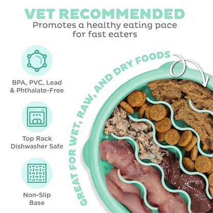 Outward Hound Fun Feeder Slo Bowl – Small 3/4-Cup Capacity, Slow Feeding, Small Dogs, Puppies & Cats, Non-Slip, Mint, Wave Pattern - color: Mint, size: Small