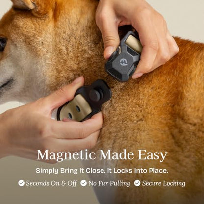 Fei & Eve VERO Dog Collar, Champagne, Medium | MagEase Magnetic Buckle, Waterproof PVC, Odor Resistant, Easy Clean, Heavy Duty - color: Champagne, size: M