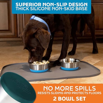 Master Pet Supply Stainless Steel Dog Bowls Set of 2 with Extra Thick Silicone Base - 2 Cup (16 oz) Emerald Sea, Non-Slip, Dishwasher Safe Metal Bowls, Pet Dog Food Bowl for Dogs, Cats, Anti Rust - color: Emerald Sea, size: 2 Cups (16 oz) 2 Pack