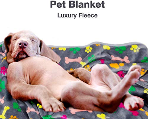 Allisandro Luxurious Dog Blanket, 350 GSM Super Fuzzy Microplush Fleece Pet Blankets for Small Medium Large Dogs and Cats, Vivid Paw and Bone, 64 x 40 Inches - color: Vivid Paw and Bone, size: 64" x 40"