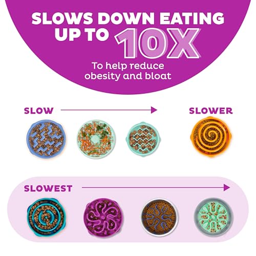 Outward Hound Fun Feeder Slo Bowl – Medium 2‑Cup Capacity, Slow Feeding, Small to Medium Dogs & Cats, Non-Slip, Purple, Flower Pattern - color: Purple, size: Medium