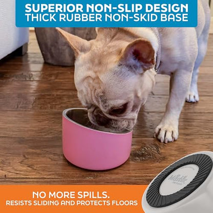 Master Pet Supply Stainless Steel Slanted Dog Cat Food Bowl - 8 oz Heavy Duty - Bone White, Double Wall Insulated, Non-Slip Elevated Bowl for French Bulldogs Pugs Cats, Anti Rust Dishwasher Safe - color: Bone White, size: 1 Cup (8 oz)