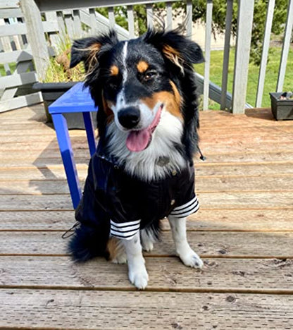 Morezi Dog Zip Up Raincoat with Reflective Buttons, Rain/Water Resistant, Adjustable Drawstring, Removable Hood, Raincoats with Legs 8lbs to 80lbs Available - Black - XS - color: Black, size: X-Small