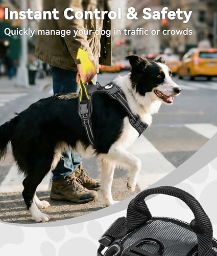 Joytale No Pull Dog Harness Medium Sized Dog, Reflective Pet Vest with Front Clip, Adjustable Soft Padded Harnesses with Easy Control Handle for Training and Walking, Gray, M - color: Gray, size: Medium