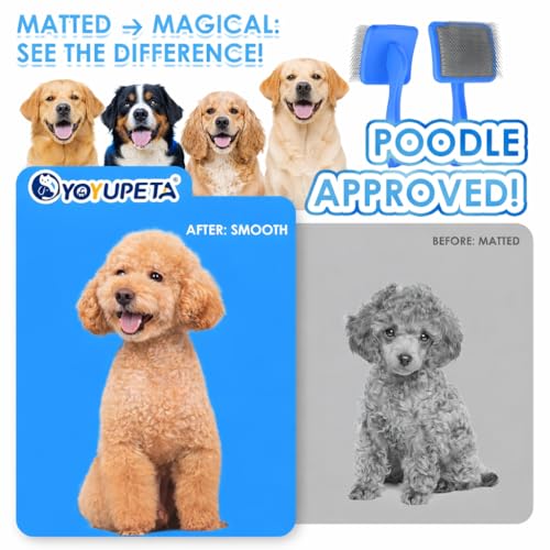 Large Slicker Brush, 2Pc Doodle Grooming Kit with Comb,Blue | With two leather protective covers; ideal for Poodles, Labradoodles; extra long pin; premium wooden handle; removes mats. - color: Blue