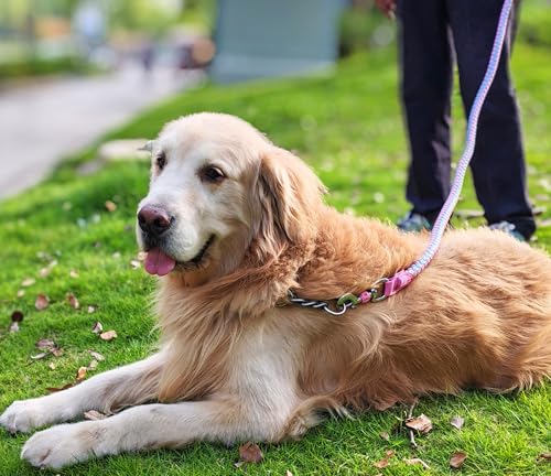 6ft Reflective Large Dog Leash, 3/4" Strong Nylon Thick Rope Braided Heavy Duty for Large Medium Dogs Walking Training Leads (Pink) - color: Pink, size: 6ft * 3/4"
