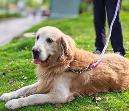 6ft Reflective Large Dog Leash, 3/4" Strong Nylon Thick Rope Braided Heavy Duty for Large Medium Dogs Walking Training Leads (Pink) - color: Pink, size: 6ft * 3/4"