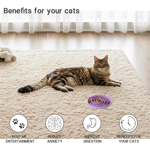Bifeaw Slow Feeder Cat Bowl, Easy to Clean Silicone Bowl, Ideal for Dry and Wet Food (Purple and Pink) - color: Purple and Pink