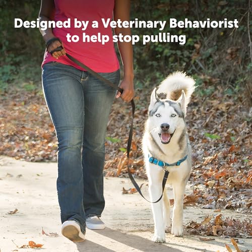 PetSafe Easy Walk Deluxe Dog Harness, No Pull Dog Harness – Perfect for Leash & Harness Training – Stops Pets from Pulling and Choking on Walks – Medium/Large, Ocean - color: Ocean, size: Medium/Large