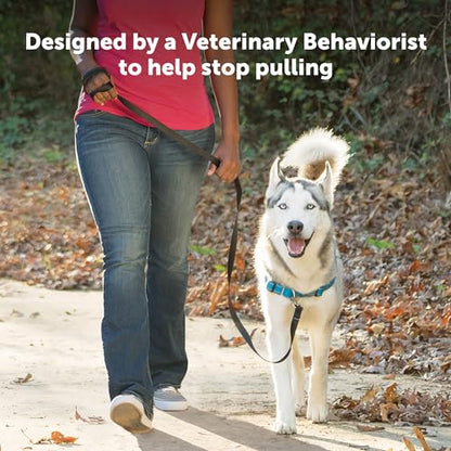 PetSafe Easy Walk Deluxe Dog Harness, No Pull Dog Harness – Perfect for Leash & Harness Training – Stops Pets from Pulling and Choking on Walks – Medium/Large, Ocean - color: Ocean, size: Medium/Large
