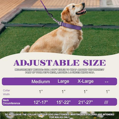 Reflective Martingale Dog Collar - No-Pull Adjustable Training Collar with Soft Nylon & Chain, Shark Pattern for Medium, Large & XL Dogs (Shark L) - color: 10, size: L(Neck15"-22")