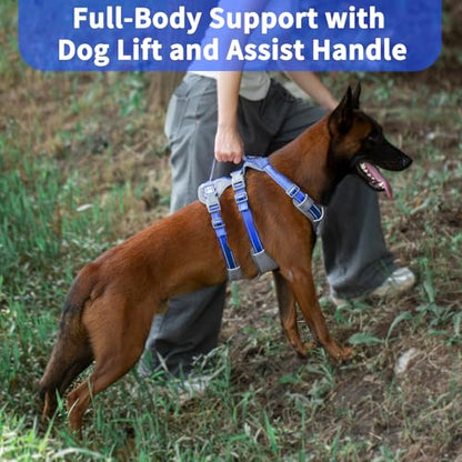 Huntboo Reflective Dog Harness with Handle, Escape Proof, No Slip, Breathable, Lightweight, Adjustable Lift Harness for Small, Medium, and Large Dogs Walking, Training, and Running Gear(Sea Blue,M) - color: Sea Blue, size: Medium (Pack of 1)