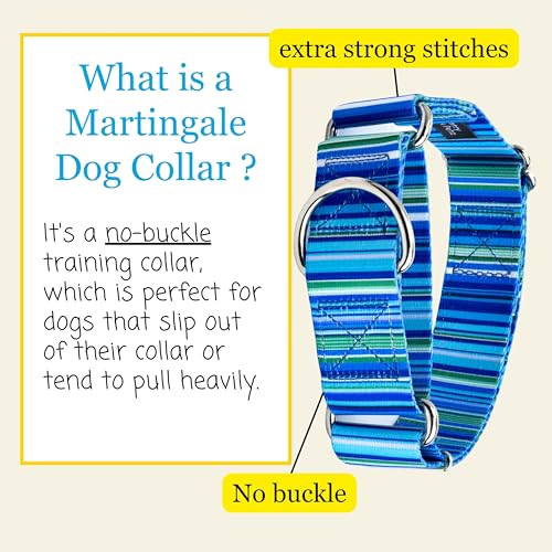 Country Brook Petz - HossFit Jr Wide Martingale Dog Collar - Country and Western Collection Featuring Rustic Designs (Blue Serape, Medium) - color: Blue Serape, size: Medium (Pack of 1)