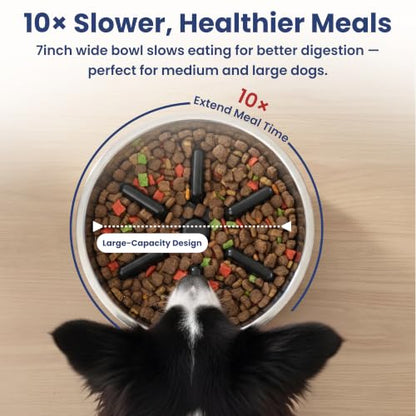 PawsPik 64oz 18/8 Stainless Steel Slow Feeder Dog Bowl, Double-Wall Non-Slip Metal Dog Bowl for Fast Eating Medium & Large Breeds, Detachable Slow Feeder Insert, Dishwasher Safe (Arctic Steel Silver) - color: Arctic Steel Silver