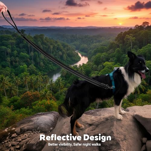 Two Point Control Dog Leash for No Pull Training - Reflective Training Leash for Dogs that Pull with Swivel Clip - Anti Pull Dog Harness for Medium Large Dogs