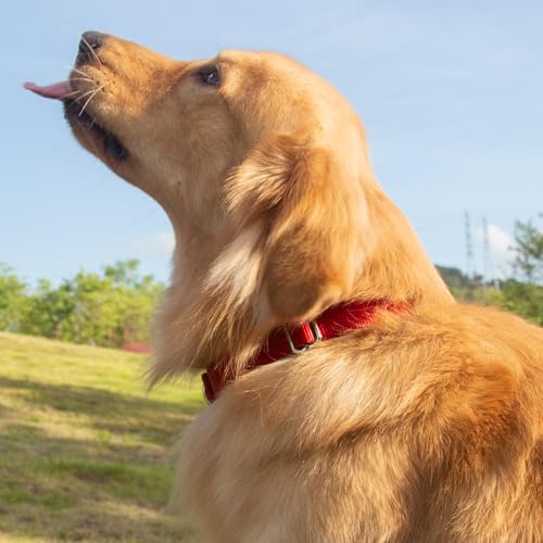 Hyhug Medium Dog Collar, Red:Heavy-Duty Quick-Release Nylon Buckle, Adjustable & Durable, Cute Dog Collar (Medium, Red) - color: Red, size: Medium