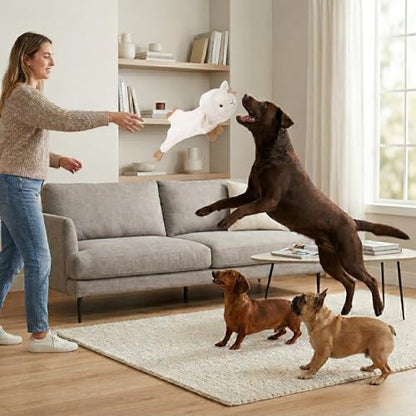 Fuzzl Lola Lamb Crinkle & Squeak Dog Toy – No Mess Minimal Stuffing Plush Puppy Toy – Interactive Soft Dog Squeaky Toy for Small to Medium Dogs – Gentle Sheep Toy for Shaking, Tossing & Cuddling - style: Lola Lamb