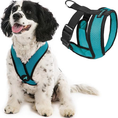 Gooby Comfort X Head-in Harness – Medium Dog Harness (9–15 lbs), Turquoise, No Pull, Choke-Free Design - color: Turquoise, size: Medium Chest (14.25-18.75")