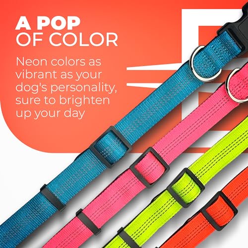 BLAZIN Reflective Dog Collar - Vibrant Color for Day and Night - Soft Neoprene Padded Collar - Adjustable Sizing -'Color Me Happy!' Dog Collars - Brighter Means Safer - (Small, Orange)