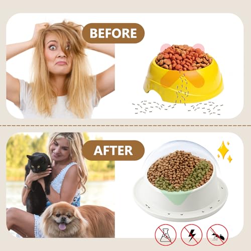 Ant Proof No Spill Ceramic Cat Food Bowls,15° Tilted Neck Support,No Spill,Non-Slip Base,Easy Clean Pet Water Dishes for Cat and Small Dog Indoor or Outdoor Use(2 Pack)