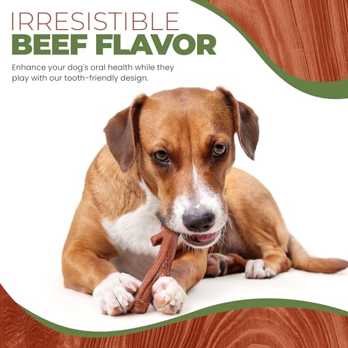 SPOT Bam-Bones Plus Branch -Bamboo Fiber & Nylon, Durable Long Lasting Dog Chew for Aggressive Chewers – Great Toy for Adult Dogs & Teething Puppies Under 90lbs, Non-Splintering, 9.5in, Beef Flavor - size: 9.5 inch (Pack of 1)