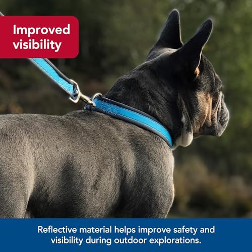 Coastal Pet - Pro - Reflective Adjustable Dog Collar, Bright Blue with Grey, 1" x 14-20"
