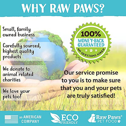 Raw Paws Grooming Brush for Dogs & Cats - Rubber Tipped Pin Brush, 1 ct | Deshedding Brush - Short & Long Hair - Gentle Detangler - Hand-Held Pet Grooming Tool - Massage Brush