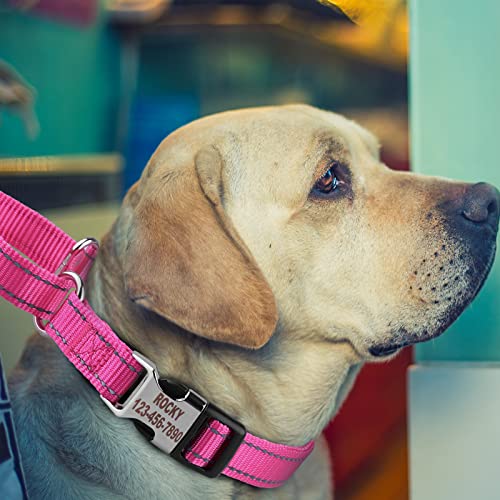 Personalized Martingale Dog Collar-Reflective Martingale Collars with Buckle, Custom Training Martingale Dog Collars Engraved with Name and Phone Number for Small Medium Large Dogs