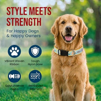 THE WORTHY DOG Spring Holiday Easter Eggs Dog Collar – Durable Nylon, Woven Ribbon, Quick-Release Buckle, Nickel D-Ring – Blue, Large - color: Easter Eggs - Blue, size: Large