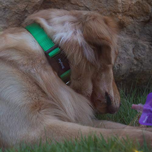 Hyhug Small Dog Collar Quick-Release Green| Heavy-Duty Nylon Puppy Collar, Adjustable & Durable Pet Supplies for Boy & Girl Dogs (Small, Lime Green) - color: Lime Green, size: Small
