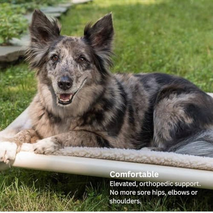 Kuranda Chewproof Elevated Dog Bed – 35" x 23" - Sunsure Textilene - Birch - color: Birch, size: Medium