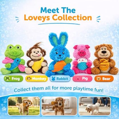 GURU Loveys Soft & Cuddly Bear Dog Toy with Removable Squeaker - Dog Toy with Multiple Textures to Stimulate Play & Engage Your Dog’s Instincts- Puzzle Dog Toy, Low-Pile & Bubble Plush - style: Bear