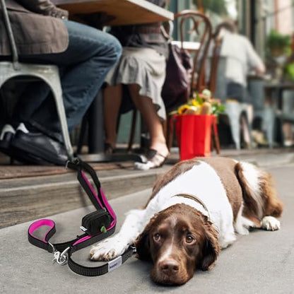 Heavy Duty Dog Leash for Large Dogs – 6FT Reflective Bungee with Padded Handles, Strong Carabiner Clip, No Pull Control for Medium & Large Breeds, Includes Poop Bag Holder & Treat Pouch (Purple) - color: Violet