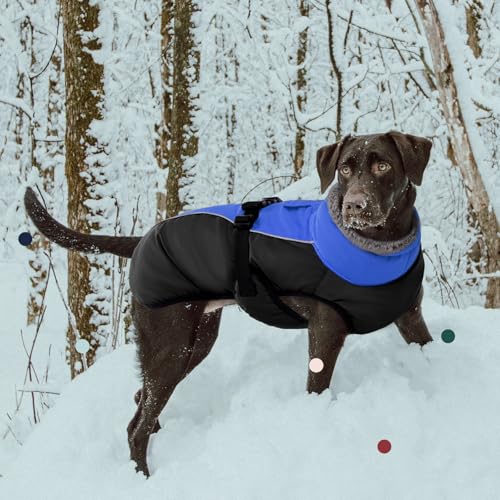 IECOii Extra Warm Dog Coat - Reflective, Adjustable Winter Jacket with Buckle & Fleece Turtleneck for Small, Medium & Large Dogs - color: Blue, size: Small(Chest:12.6-16.5 in)
