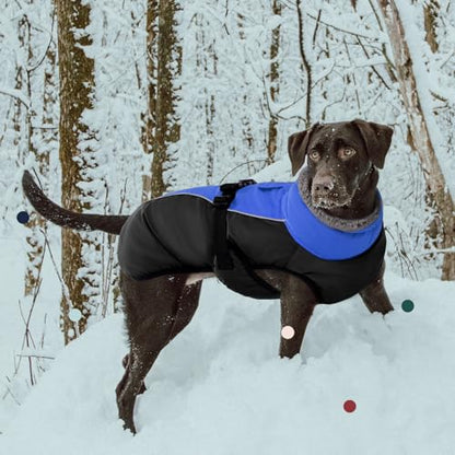 IECOii Extra Warm Dog Coat - Reflective, Adjustable Winter Jacket with Buckle & Fleece Turtleneck for Small, Medium & Large Dogs - color: Blue, size: Small(Chest:12.6-16.5 in)