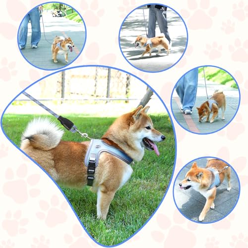 Dog Harness and Leash Set, No Pull Saddle Style Pet Harness, Breathable Mesh Adjustable Reflective Dog Vest for Medium Small Dogs Harness 2 D-Rings, Blue, XS - color: Blue, size: XS