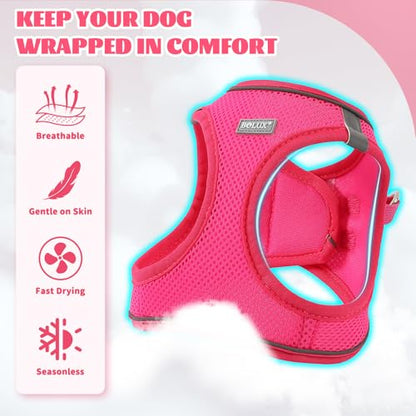 Dog Harness Small Sized and Leash Set, Step in Soft Light Puppy Vest, Breathable Mesh Pet Harness, Reflective for Safe Easy Walking. - color: Pink, size: X-Small (Pack of 1)