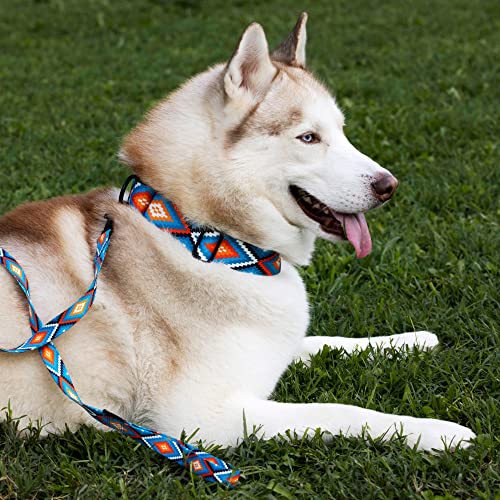 CollarDirect Martingale Dog Collar Heavy Duty Nylon Slip Collars for Small Medium Large Dogs [Nylon, Patterned, Blue Geometric, L, 15"-20"] - color: Blue Geometric, size: Large (Neck Size 15"-20")