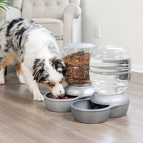 Petmate Replendish Feeder Automatic Cat and Dog Feeder, Pearl Peacock Blue, 10 LB, Made in USA - color: Pearl Peacock Blue, size: 10 LB