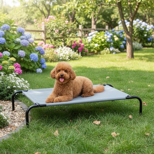 Amazon Basics Cooling Breathable Elevated Dog Bed with Durable Metal Frame, Medium, 43 x 26 x 7.5 Inch, Grey, Easy to Assemble - color: Grey, size: Medium