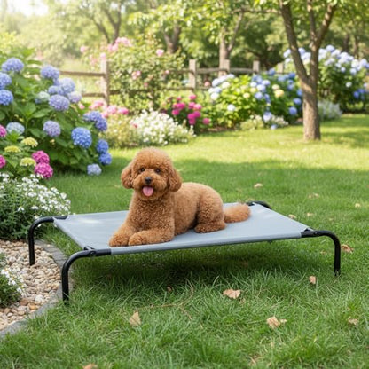 Amazon Basics Cooling Breathable Elevated Dog Bed with Durable Metal Frame, Medium, 43 x 26 x 7.5 Inch, Grey, Easy to Assemble - color: Grey, size: Medium